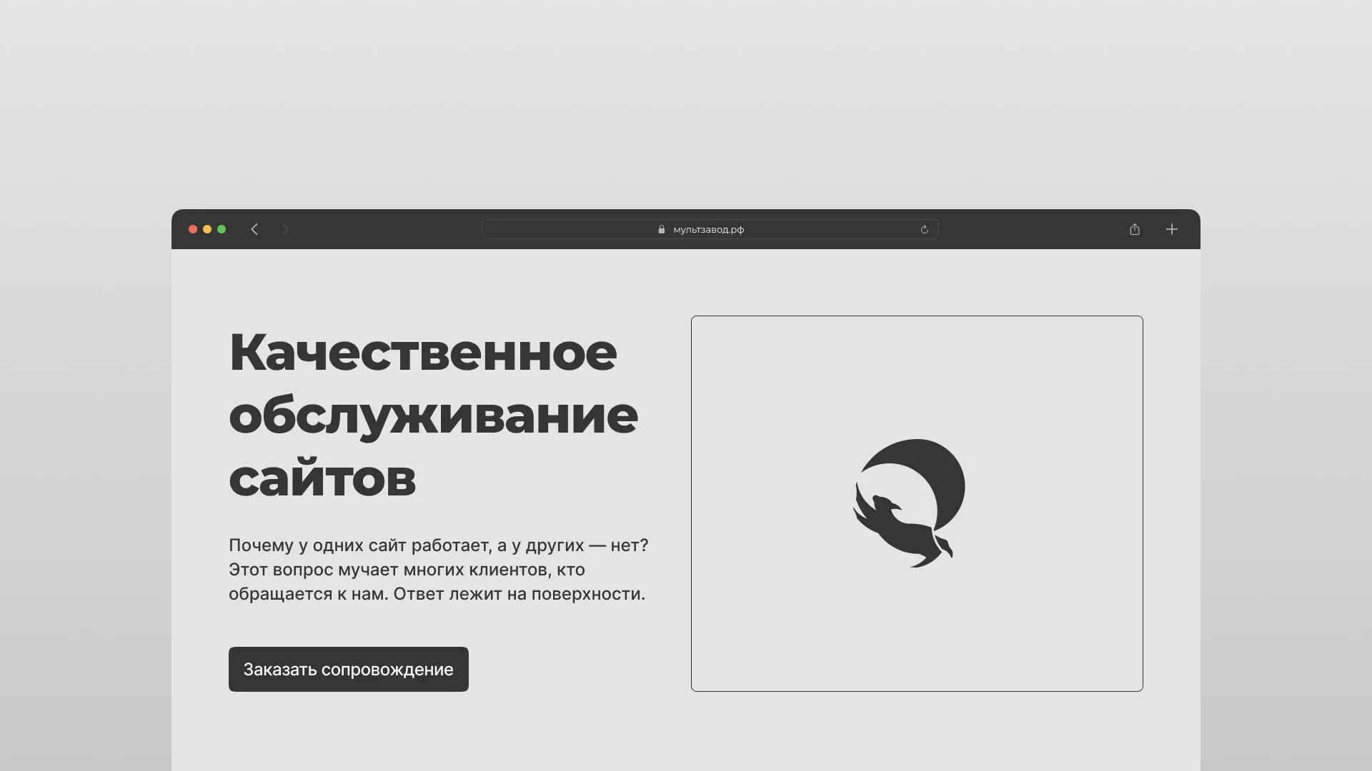 Комплексное сопровождение сайтов в Старице