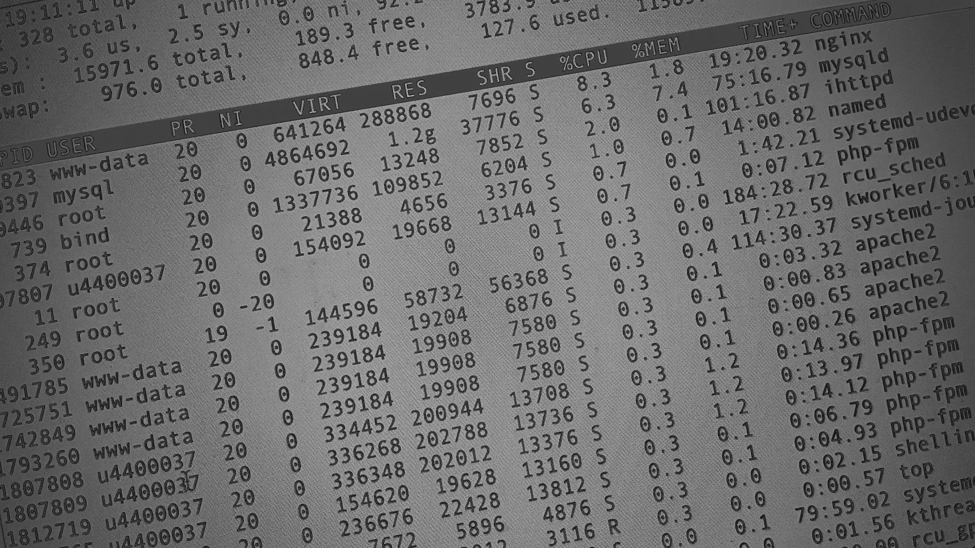 Настройка сервера в Старице