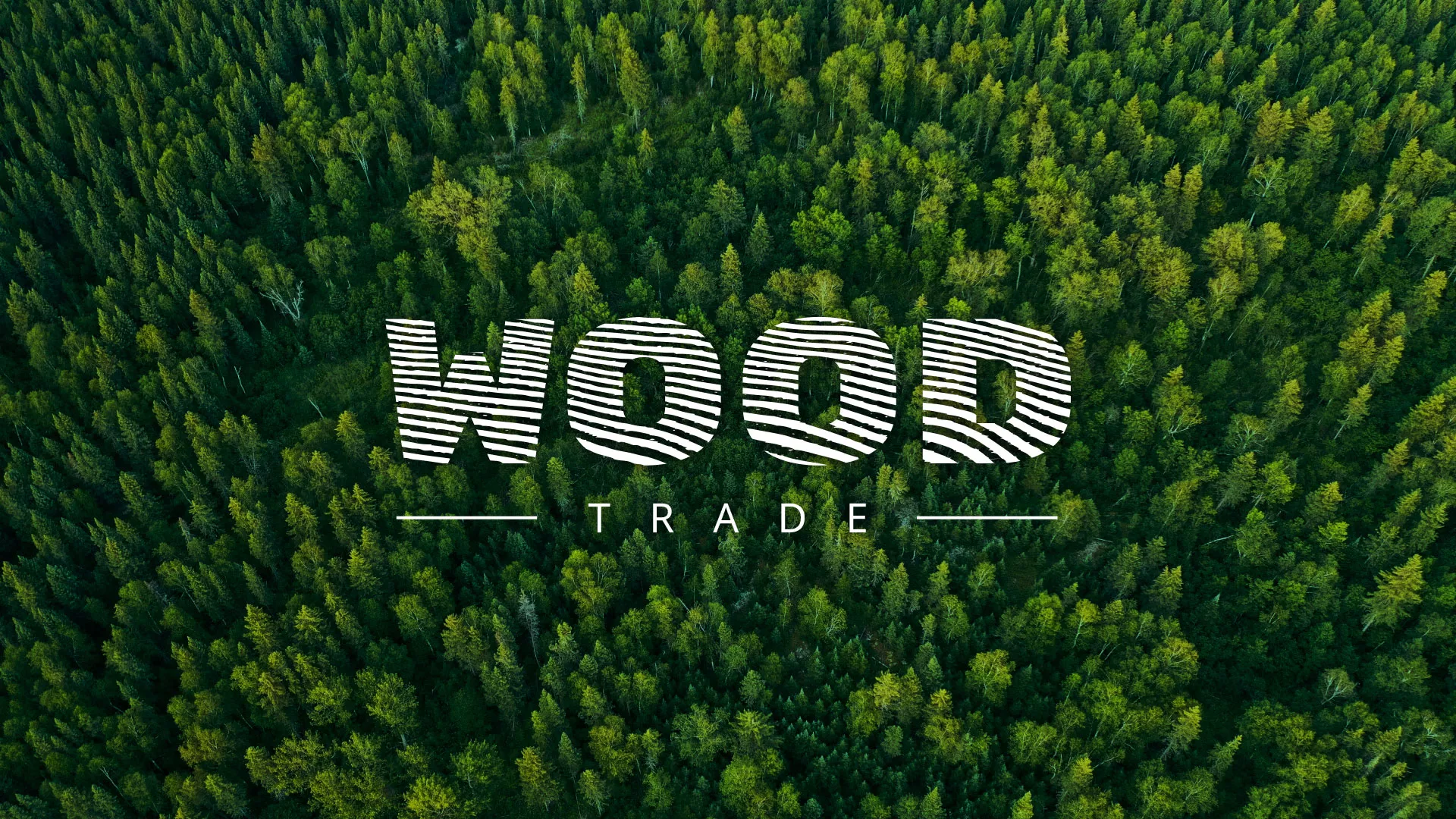 Разработка интернет-магазина компании «Wood Trade» в Старице