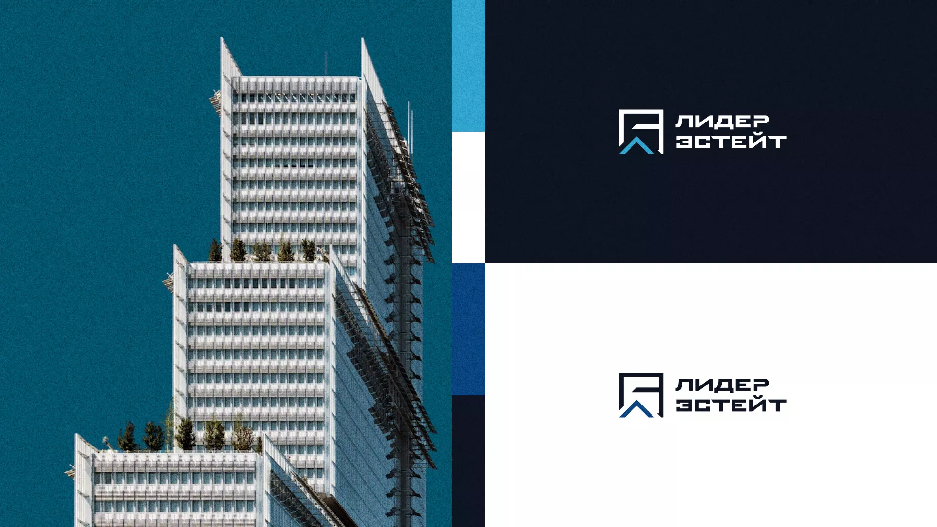 Разработка логотипа агентства недвижимости «Лидер Эстейт» в Старице