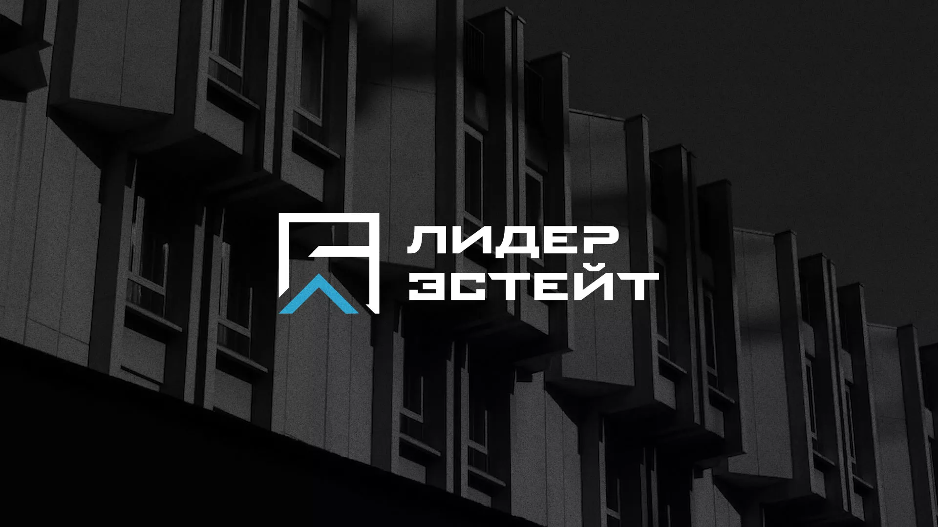 Разработка логотипа агентства недвижимости «Лидер Эстейт» в Старице